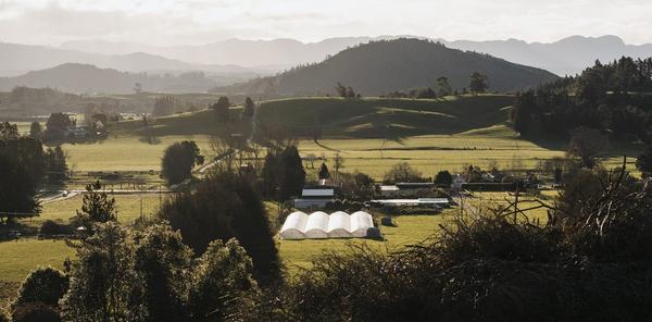 Kiwi Spirit Distillery