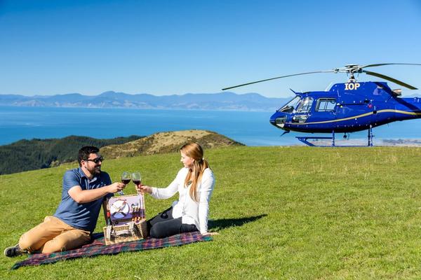 Nelson Tasman Air