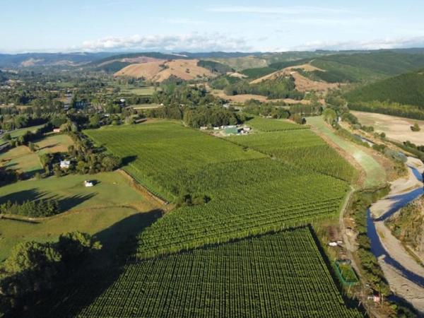 PGG Wrightson Real Estate Nelson