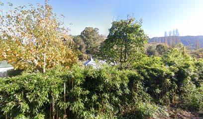 Riwaka river cottage
