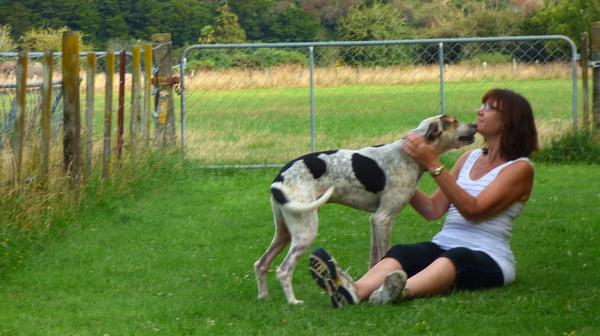 Spring Grove Boarding Kennels