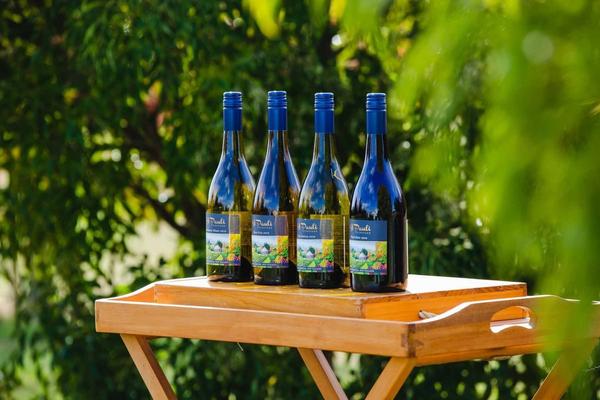 St Pauli Vineyard